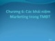 Bài giảng Thương mại điện tử: Chương 6 - ThS. Trương Việt Phương