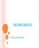 Bài giảng Trường điện từ - Trần Ngọc Minh Đức