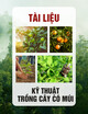 Tài liệu Kỹ thuật trồng cây có múi